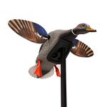 MOJO Outdoors Elite Series Mini Mallard - Duck Hunting Motion Decoy (New)