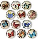 Poitvd 12Pcs Glass Refrigerator Magnet Fridge Sticker,Butterfly Fridge Magnets Decoration for Crafts,Strong Fridge Magnets for Kitchen, School,Office Whiteboard, Cabinet and Dishwasher