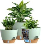 KUGAZ Self Watering Pots with Drainage Holes, 3 Pack 12/10/8 Inch Plant Pots with Water Level Indicator Deep Reservoir, Large Plastic Planter for Indoor Outdoor Plants - Green Brown
