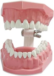 Dental Mod