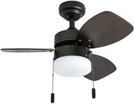 Ceiling Fan With Frosted