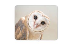 Destination Vinyl Ltd Wise Barn Owl Mouse Mat Pad - Bird British Wildlife Nature Computer #15817