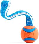 Chuckit Ultra Tug Dog Toy, Medium F