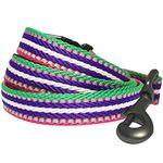 Blueberry Pet 3M Reflective Multi-Colored Stripe Dog Leash with Soft & Comfortable Handle, 5 ft x 3/4", Pink, Medium, Leashes for Dogs