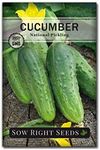 Sow Right Seeds - National Pickling Cucumber Seeds for Planting - Non-GMO Heirloom Packet with Instructions to Plant and Grow a Home Vegetable Garden - Famous Variety for Homemade Pickles (1)