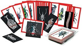 Roylco Insect X-Rays and Picture Cards Set, Multi (R-5912)