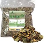 Nispero - Loquat Leaves & BARK 1 Pound OR 16 OUNCES Eriobotrya japonica_Fresh