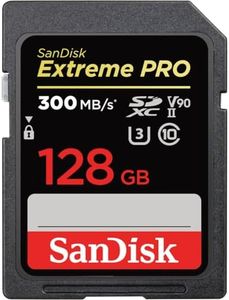 SanDisk 12