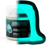 Aquaris Glow in the Dark Paint (50m