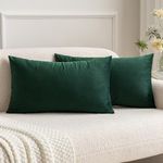 MIULEE Velvet Soft Soild Microfiber Decorative Square Pillow Case Throw Cushion Cover for Sofa Bedroom with Invisible Zipper Dark Green 12"x20",2 Pieces