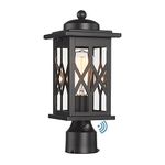 FEMILA Outdoor Post Lights, 14 Inch Lamp Post Light Fixture, Lamp Posts Outdoor Lighting with Clear Glass, Black Finish, for Garden Patio Yard Pathway Driveway, 4FD66P-PC BK