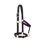 Weaver Leather Padded Adjustable Nylon Horse Halter, Purple, 1" Average Horse