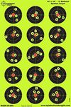 Splatterburst Targets - 12 x18 inch