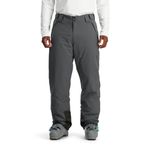 Spyder mens Mesa Insulated Ski Snow PantsSki Pants, Polar, Large