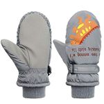 Toddler Mittens Winter Snow Glove waterproof mitten Warm Fleece Kid Ski Gloves for Boys Girls, Gray Dinosaur, S(Fits 2-4 years)