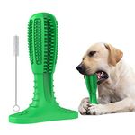 Dog Toothbrush Toy