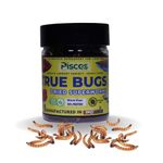 True Bugs Dry SUPERWORMS for Fishes of All Life Stages - 100ml Pack | High Protein Food for Aquarium Fishes Like Arowana, Flowerhorn and Birds, Cichlid, Reptiles, Monkeys and Other Pets