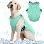 Kuoser Dog Cooling Vest, Breathable