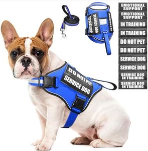 Service Dog Harness and Leash Set, Training Dog Vest with 10 Dog Patches, Emotional Support Therapy Dog Vest Harness for Small Medium Large and Extra Large Dogs(Blue, M)