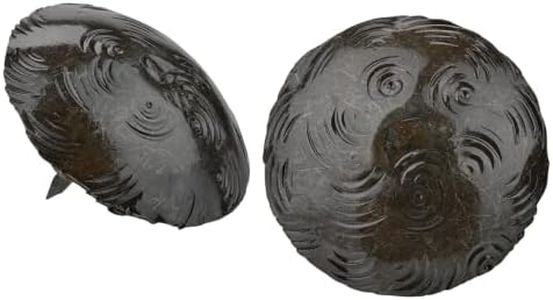 50 Pack 2" Large Round Head Clavos Decorative Nails – Sealed Unfinished – Handmade Rustic Round Fasteners for Farmhouse Shutter, Faux Wood, Barn Door, Shutters, and Gates – Ornamental Wood Accent