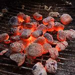 Youniq Coconut Shell Charcoal Briquettes for BBQ (2kg)