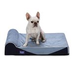 Laifug Orthopedic Memory Foam Extra Large Dog Bed with Pillow and Durable Water Proof Liner & Removable Washable Cover & Smart Design (Medium (34"x22"x7"), Blue)