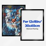 EOBROMD Diamond Painting Frame, Black Diamond Art Frame Magnetic Frame Compatible with 30x40cm Diamond Painting Canvas, Black Picture Frame for 28x38cm Diamond Painting Inside Size 25x35cm(One Pack)