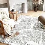 ODIKA Ultra Soft Area Rug 5x7, Non Slip, Stain Resistant Living Room Rug, Washable Area Rugs for Living Room, Rugs for Bedroom, Modern Abstract Style (Gray, 5x7)