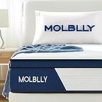 Queen Mattress,Molblly 10 Inch Queen Mattress Spring Memory Foam Hybrid Individually Wrapped Coils, CertiPUR-US Certified, Queen Mattress in a Box Medium Firm, for Back Pain Relief（153 * 203 * 25）