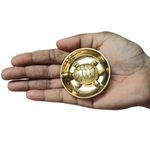 Anciently Feng Shui Tortoise for Good Luck | Brass Tortoise with Plate, Small Size, Brass, Gold Colour, 1 Set