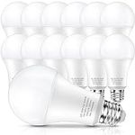 150 Watt LED Light Bulbs, Daylight 