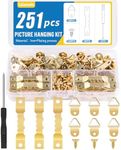 Caianwin 251Pcs Picture Hanging Kit, Wall Hooks for Hanging Pictures, Picture Hangers Set with Sawtooth, D Ring, Screws, Picture Hanging Tool for Photo Frames, Paintings, Mirrors (Gold)