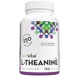 PlantVital L-Theanine Capsules, HIGH POTENCY - L Theanine supplement promotes relaxation and mental calmness - L-Theanine 250mg is Non-GMO - Made in Canada - 4 Months Supply - 120 Capsules