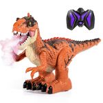 MAGICDINOSAUR Toys for Kids Remote Control Dinosaur with Spray,Electric Realistic RC T-Rex Lights & Sounds,Rechargeable Big Dino Robot Fire Breathing,Great Gift Boys Girls Age 5-7 8-12 Years Orange