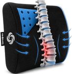 Samsonite Memory Foam Lumbar Suppor