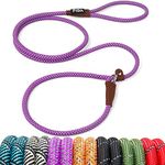 Fida Durable Slip Lead Dog Leash, 6 FT x 3/8" Heavy Duty Dog Loop Leash, Comfortable Strong Rope Slip Leash for Small Dogs and Puppies, No Pull Pet Training Leash with Highly Reflective(3/8", Purple)