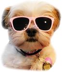 G014 Dog Pet 80s Sunglasses Goggles for Small Dogs up to 15lbs (Pink)