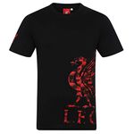 Liverpool FC Official Football Gift Mens Graphic T-Shirt Black Large