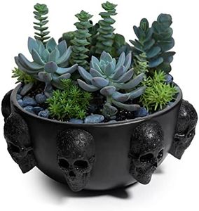 Skull Plan
