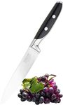 Sabatier Professional All Purpose Knife - 5in/12cm Full Tang Blade Forged from High Chrome Taper Ground Stainless Steel, Twin Rivet Comfort Handle. Sharper for Longer, by Taylors Eye Witness