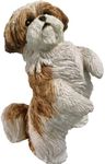 Sandicast Original Size Gold and White Shih Tzu Sculpture, Sitting Pretty