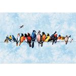 Tree-Free Greetings EcoNotes Stationary- Blank Note Cards with Envelopes, 4" x 6", Chorus Line, Bird Themed, Boxed Set of 12 (FS66506)