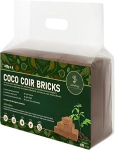 COIROLOGY 