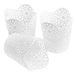 CENBEN 3 PCS Plastic Flower Hollow Pen Holder Vase Pot Pen Makeup Brush Holder Desk Storage Holder Organizer (White)