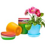 Plastic Plant Pots, Happybase 8 Pack 5.5 Inch Plastic Planters Flower Plant Pots Seedlings Nursery Pot Indoor Colorful Flower Plant Container Seed Starting Pots with Drainage and Saucer (8 Colors