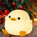 Duck Night Light, Nursing Light, Torchiere Light, Touch Sensor, Dimmable, LED Warm Light, Timer Setting, USB Rechargeable, 56 Hours of Continuous Operation, Soft Silicone Material, Duck Light, Cute