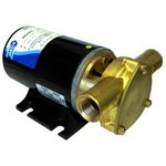 Jabsco 6.2 GPM Rotary Vane Pump (12V DC 8 Amp)