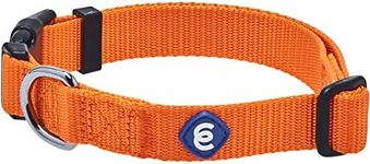 Blueberry Pet Essentials Classic Durable Solid Nylon Adjustable Dog Collar, Orange Vermilion, Large, Neck 18"-26", for Boy and Girl Dogs