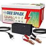 DEESPAEK 12V 200Ah LiFePO4 Battery，Rechargable Lithium Batteries with 200A BMS, over 4000+ Deep Cycle, Perfect for Solar, Boat, Marine, Trolling Motor, RV, Hoursehold Appliances