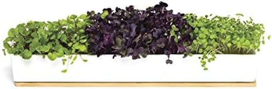 Urban Greens Micro Greens Window Sill Grow Kit